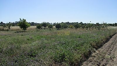listing-picture-0
