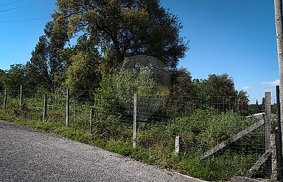 listing-picture-0