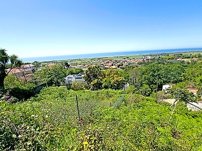 listing-picture-0
