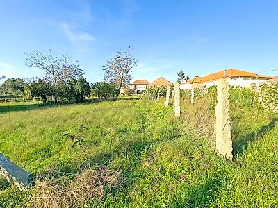 listing-picture-0