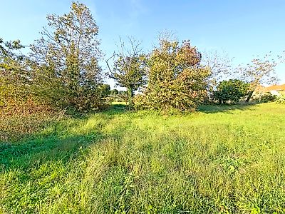 listing-picture-0