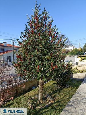 listing-picture-0