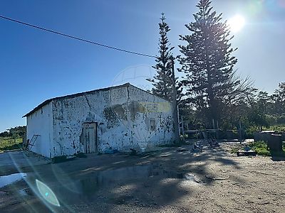 listing-picture-0