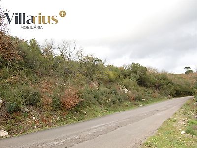 listing-picture-0