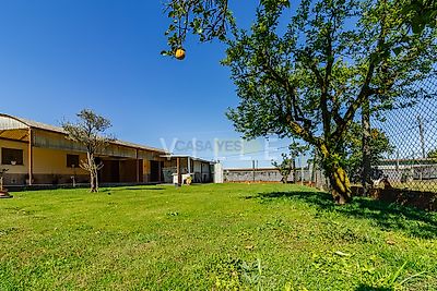 listing-picture-0