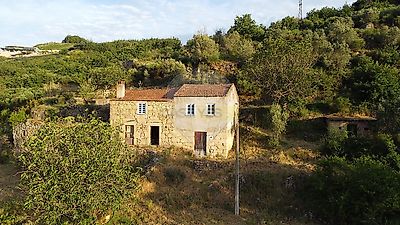 listing-picture-0