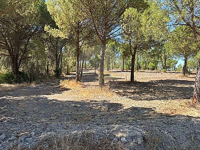 listing-picture-0