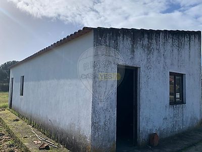 listing-picture-0