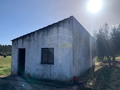 listing-picture-0