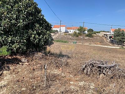 listing-picture-0