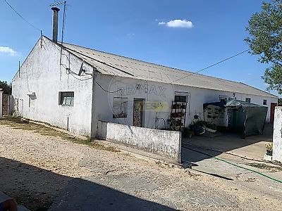 listing-picture-0