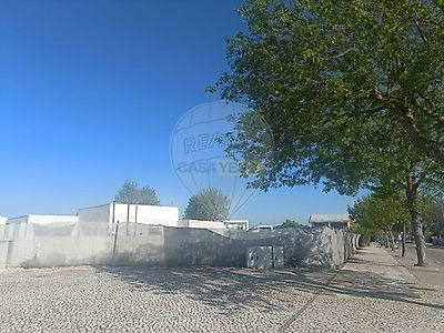 listing-picture-0