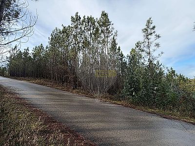 listing-picture-0