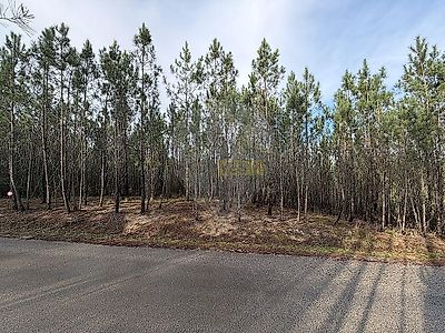 listing-picture-0
