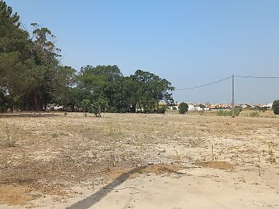 listing-picture-0
