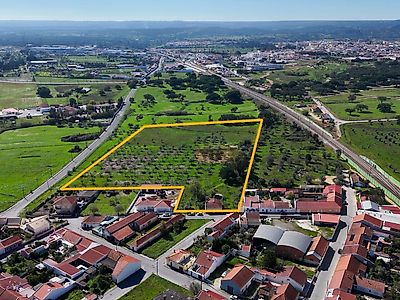 listing-picture-0