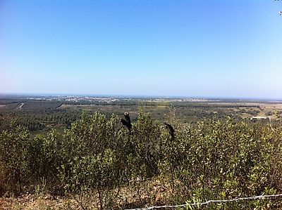 listing-picture-0