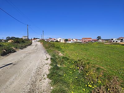 listing-picture-0