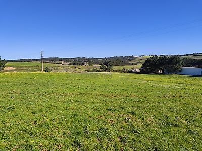 listing-picture-0