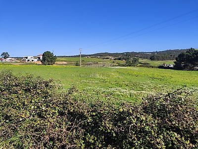 listing-picture-0