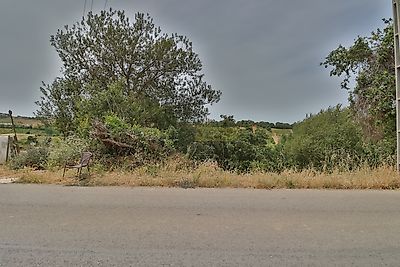 listing-picture-0