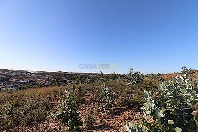 listing-picture-0