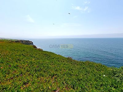 listing-picture-0