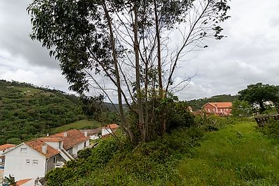 listing-picture-0