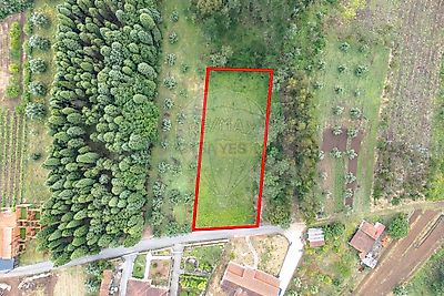 listing-picture-0