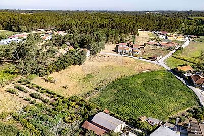listing-picture-0