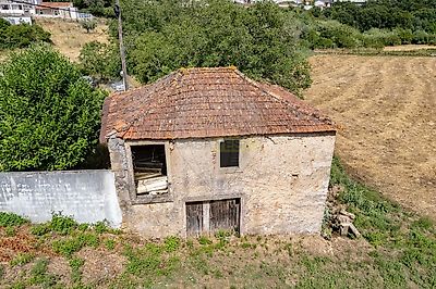 listing-picture-0