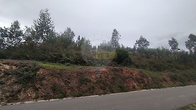listing-picture-0