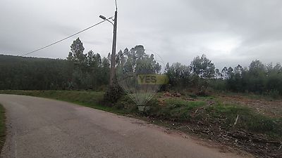 listing-picture-0