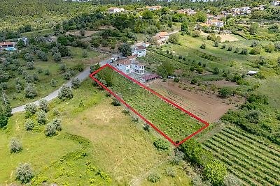 listing-picture-0