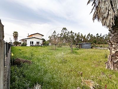 listing-picture-0
