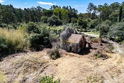 listing-picture-0