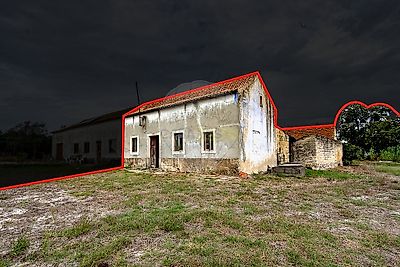 listing-picture-0
