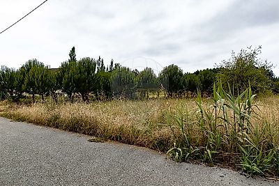 listing-picture-0