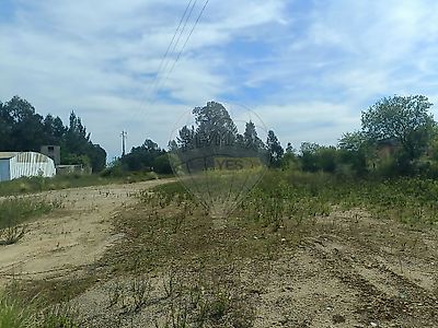 listing-picture-0