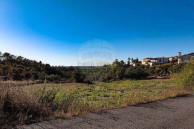 listing-picture-0