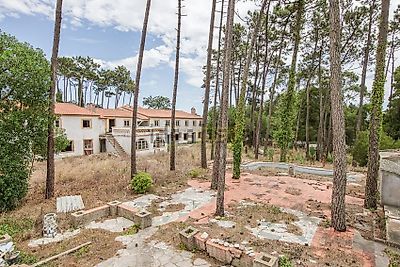 listing-picture-0