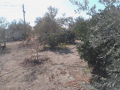 listing-picture-0