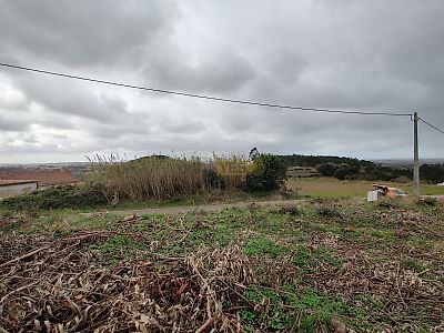 listing-picture-0