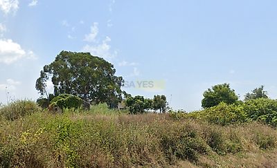 listing-picture-0