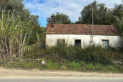 listing-picture-0