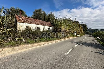 listing-picture-0