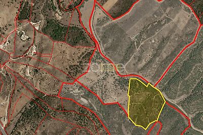 listing-picture-0