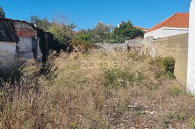 listing-picture-0