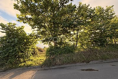 listing-picture-0
