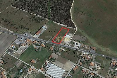 listing-picture-0